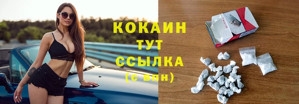 тгк Алексин