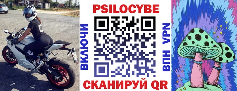 Купить закладки  Сочи  Галлюциногенные грибы MAGIC MUSHROOMS 